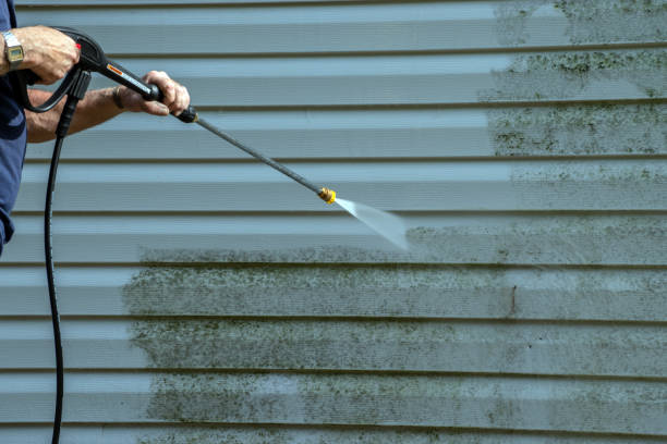 Animal Enclosure Cleaning in Huntington, WV